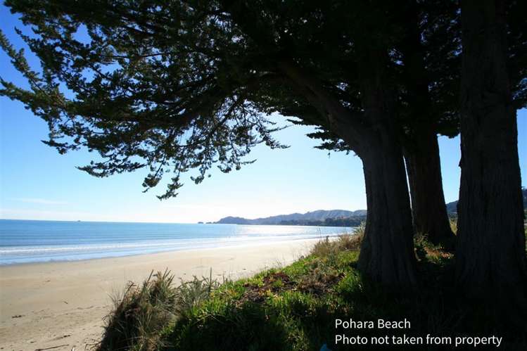 59b Selwyn Street Kahurangi National Park_16