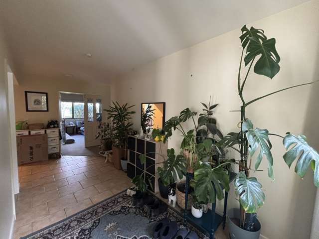 69 Moodys Rd Clarkville_1