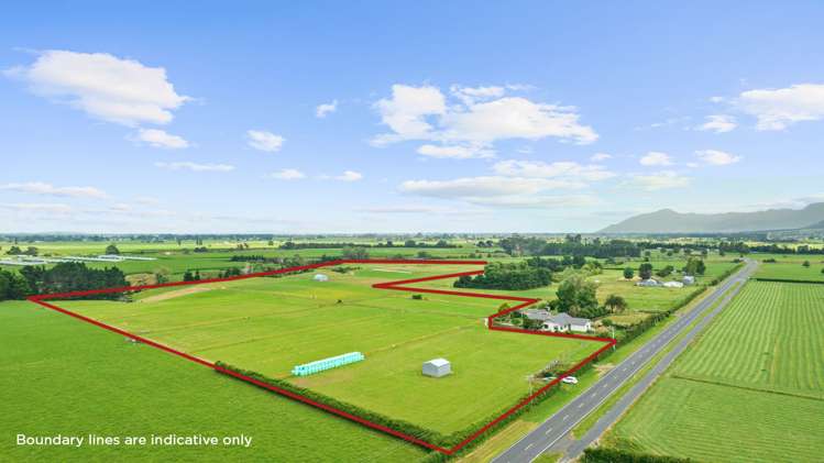 Tower Road Matamata_5