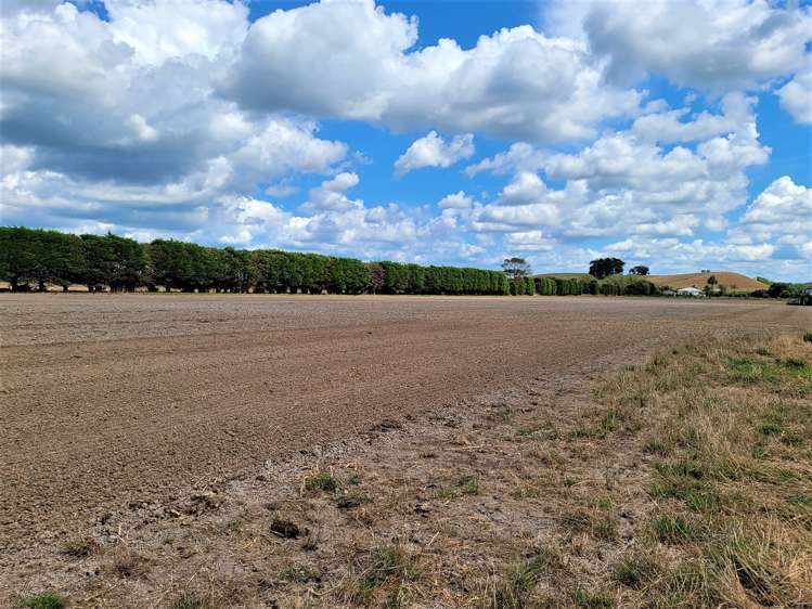 142 Awakino Point North Road Dargaville Surrounds_14