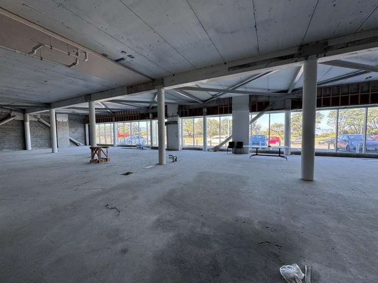 Ground/81 The Esplanade Petone_3