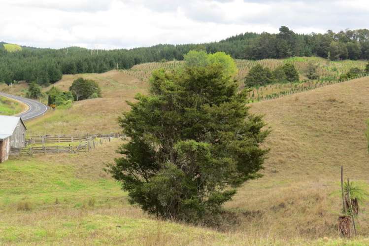 2362 State Highway 14 Mangapai and Surrounds_3