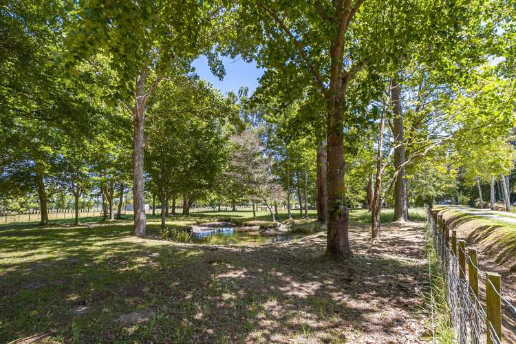 1971 Moutere Highway Upper Moutere_18