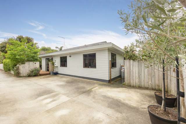 41d Grotto Street Onehunga_1