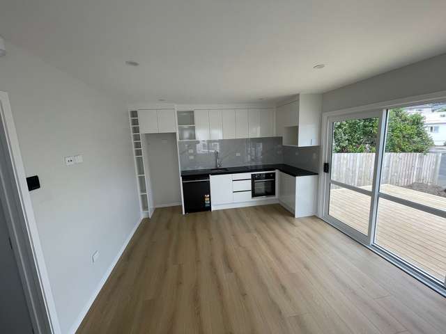 16 Cleghorn Avenue Mount Roskill_2