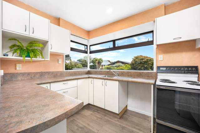 56 Cheyenne Street Sockburn_2