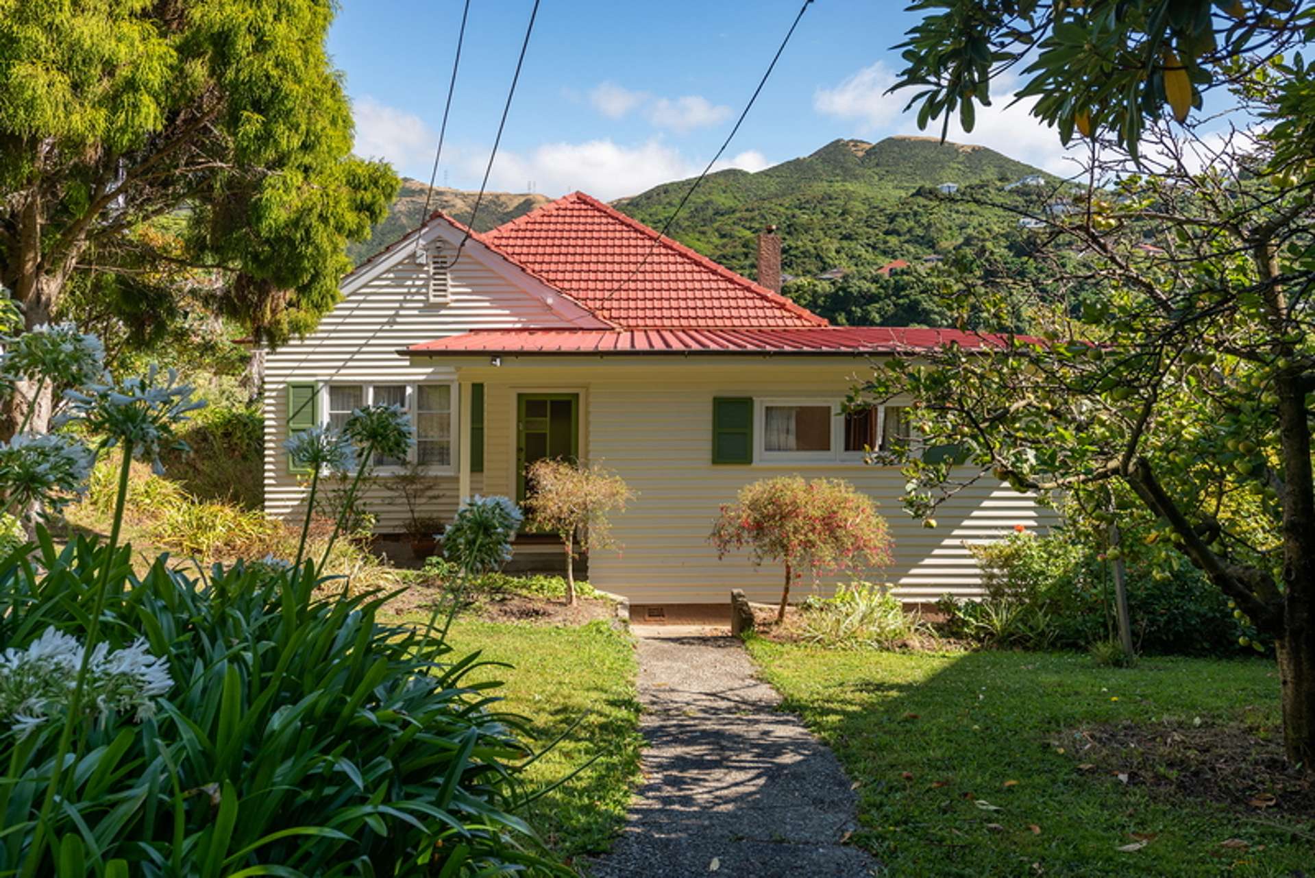 18 Trelissick Crescent Ngaio_0