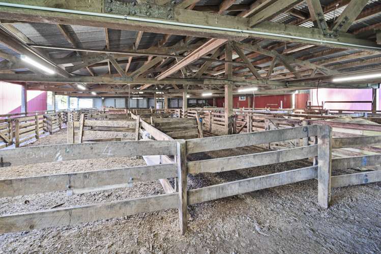 142 Pohokura Road (subdivision of) Tutira_24