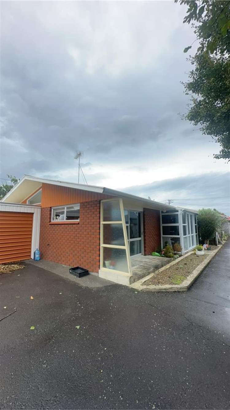 19b Norman Street Vogeltown_13