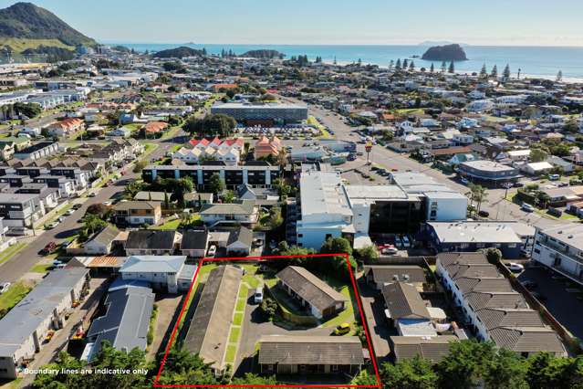 8-10 Hinau Street Mt Maunganui_1