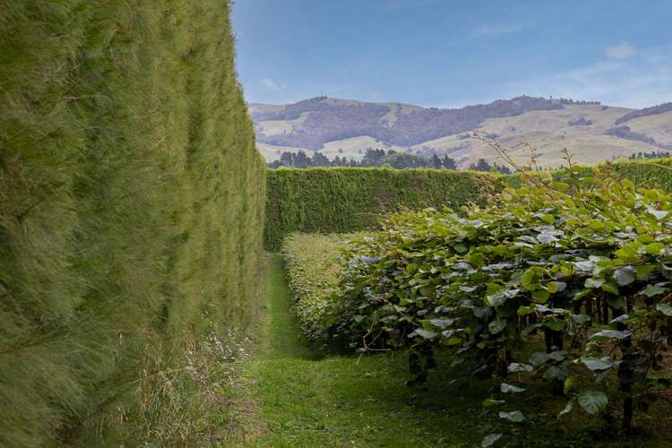 19E Amber Lane Karapiro_11