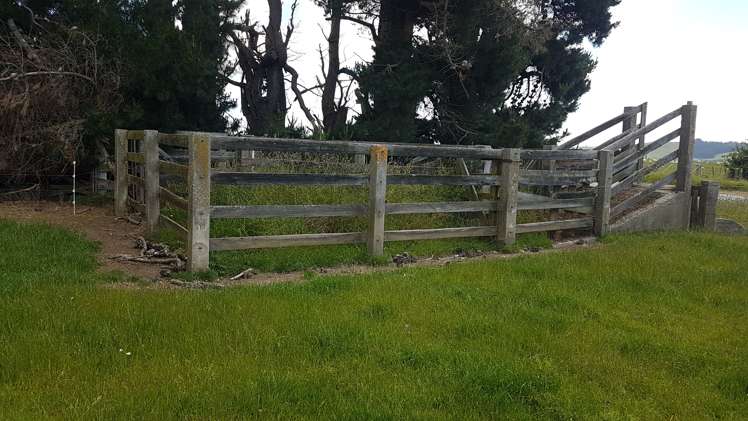 259 Kaihiku Church Road Clinton and Surrounds_19