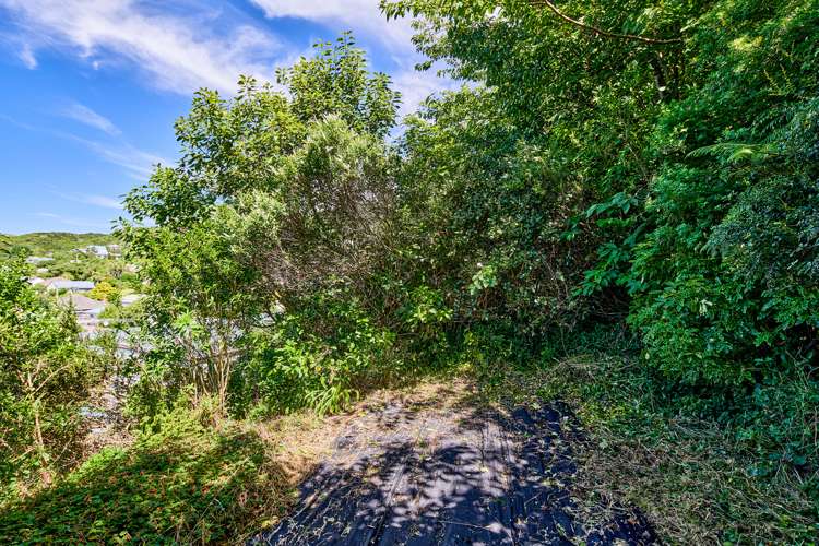 16b Thurleigh Grove Karori_13