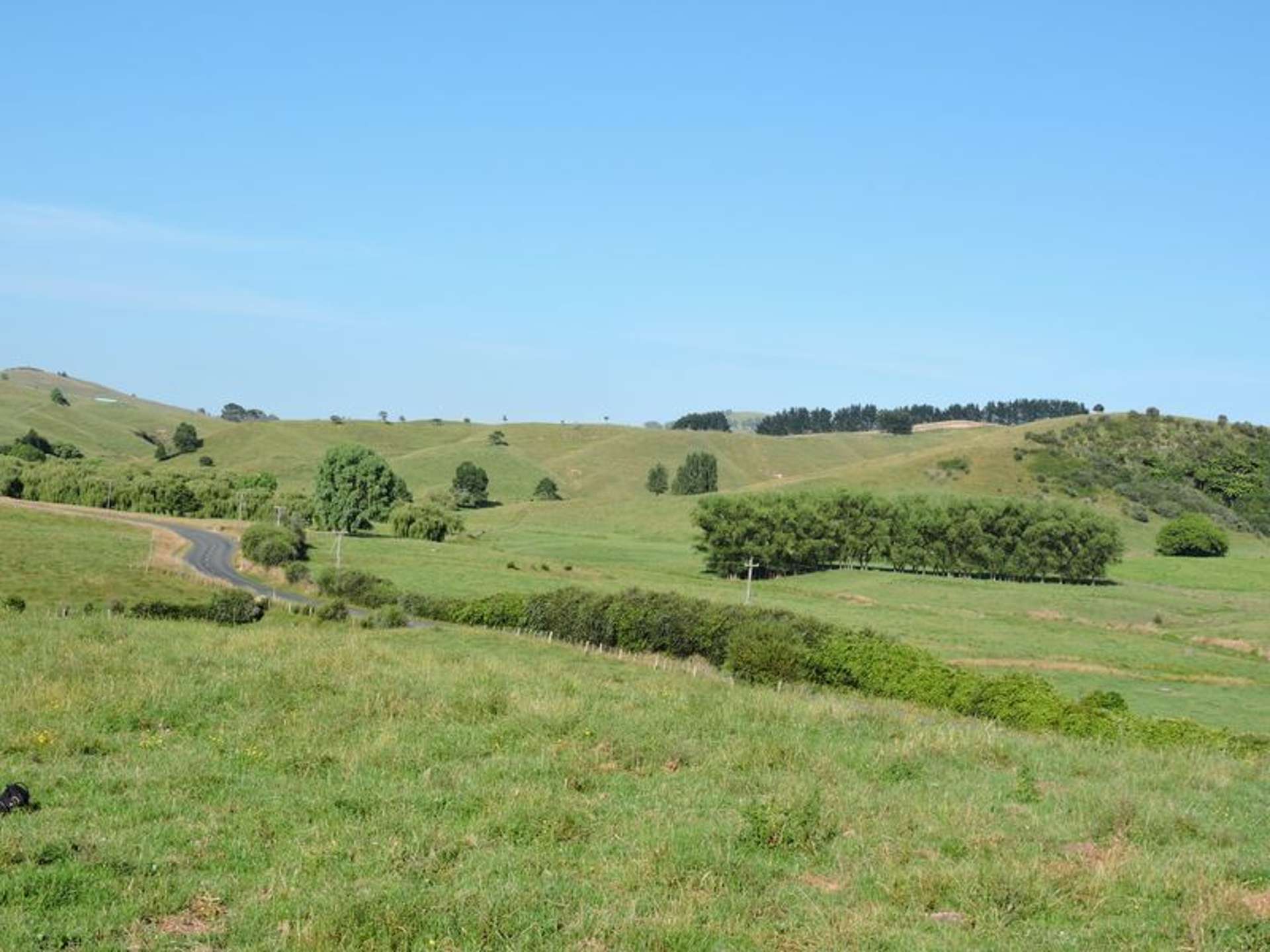 Taotaoroa Road Matamata_0