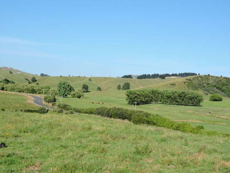 Taotaoroa Road Matamata_0