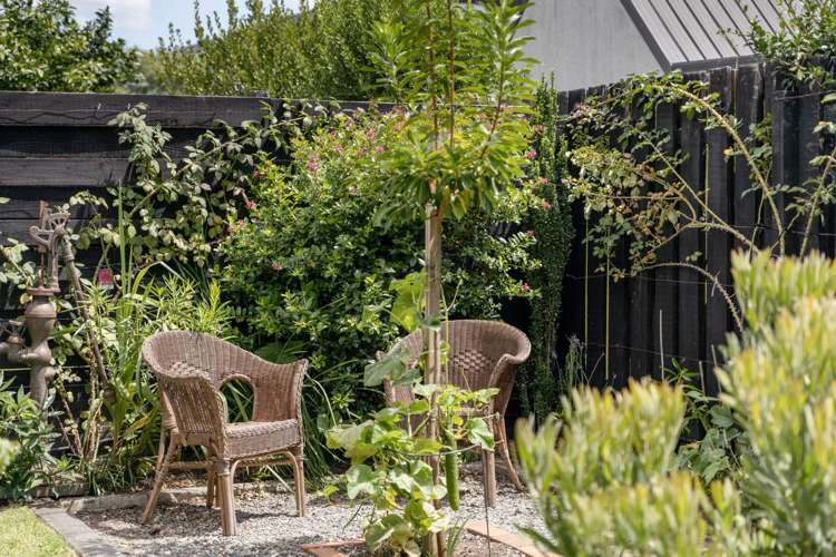 113c Grace Road Tauranga South_13