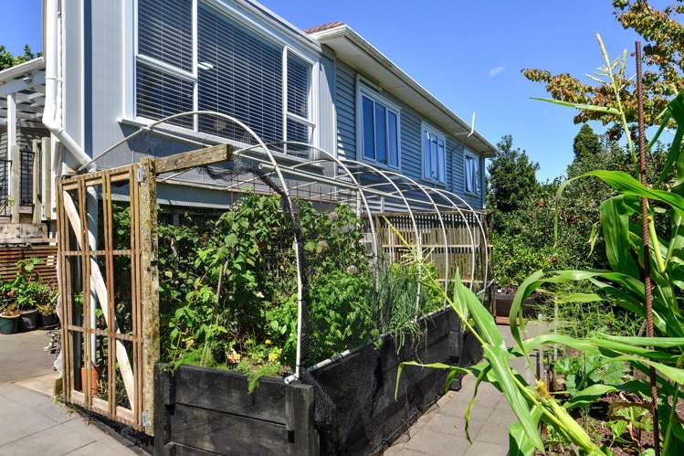 2 Joffre Street Frankton_40