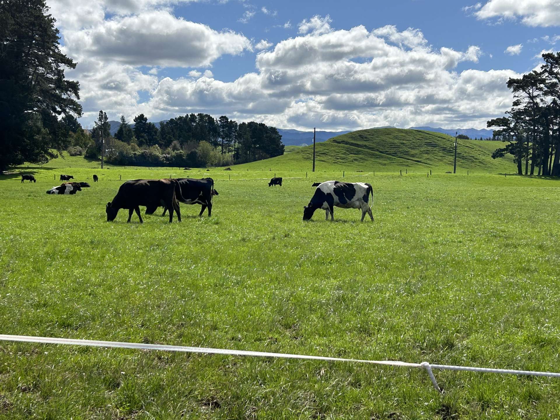 76412 State Highway 2 Rangitikei Surrounds_0