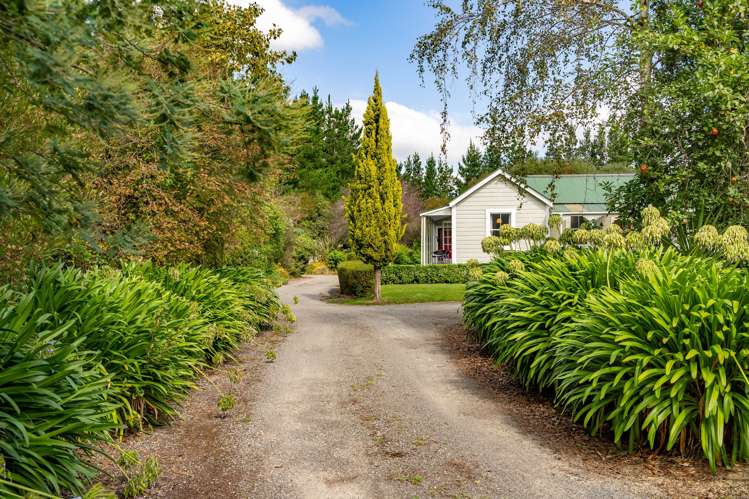 78 Te Ore Ore-Bideford Masterton_34