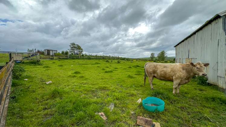 241 Finlayson Road Maramarua_15