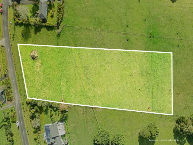 Waitaua Road Kauri_4