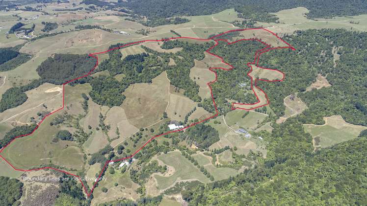 43b Walls Road Waihi_8