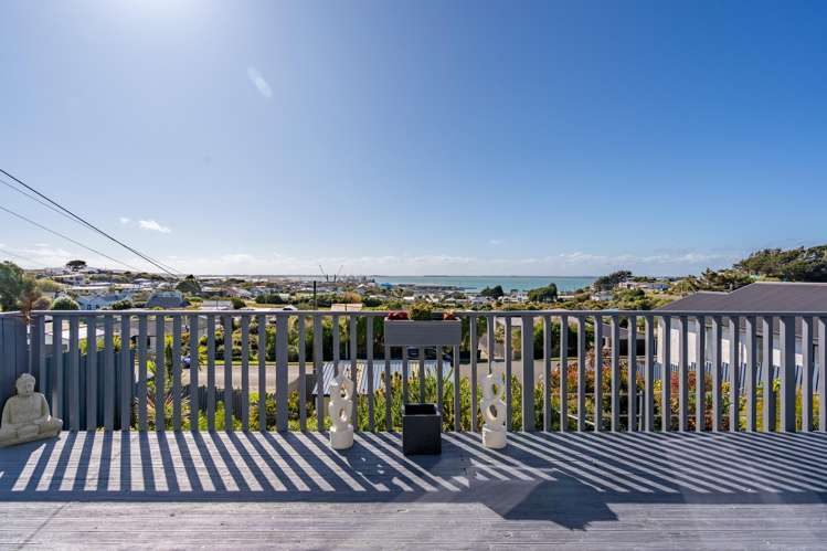 36 Theodore Street Bluff_9