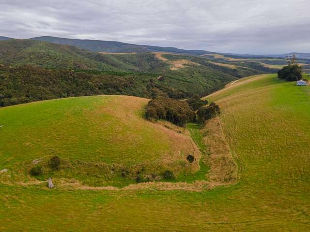 Lot 1 Duncan Road Hampden_1