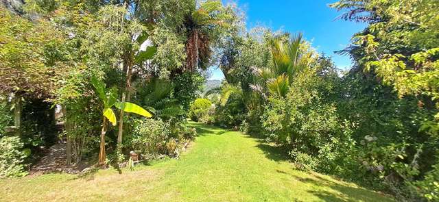 27 Nikau Heights Kahurangi National Park_1