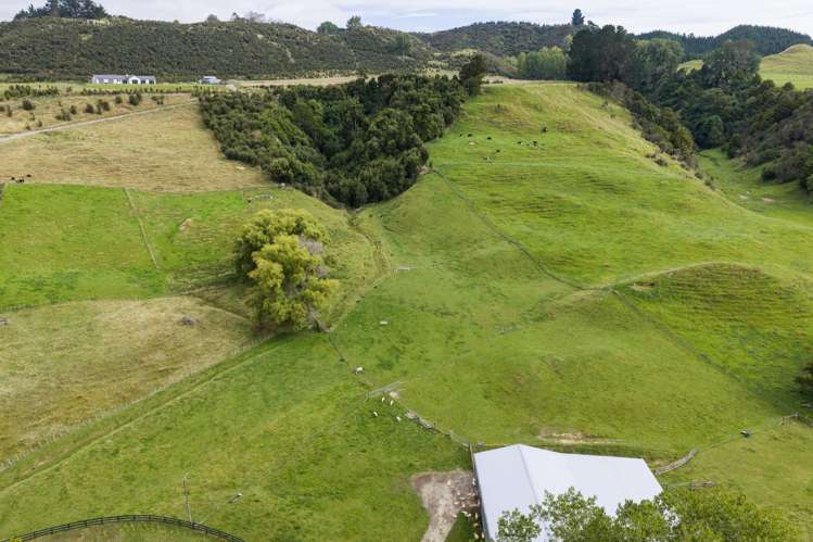 29 Kuku Road Pohangina_40