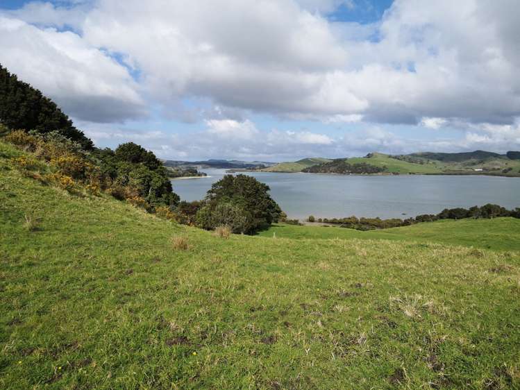 63 Hinamoki Drive Kaiwaka_2