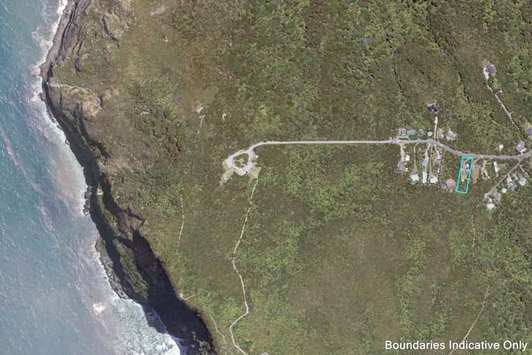 8 Log Race Road Piha_19