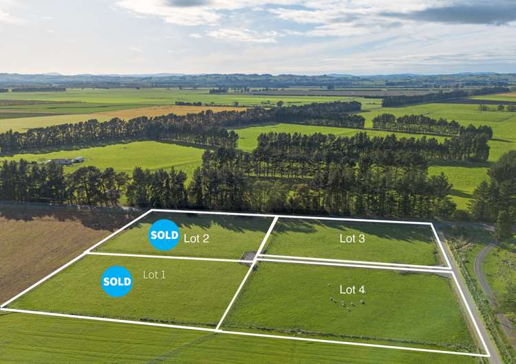 Lot 3 1312 State Highway 50, Ongaonga, Central Hawkes Bay District_0