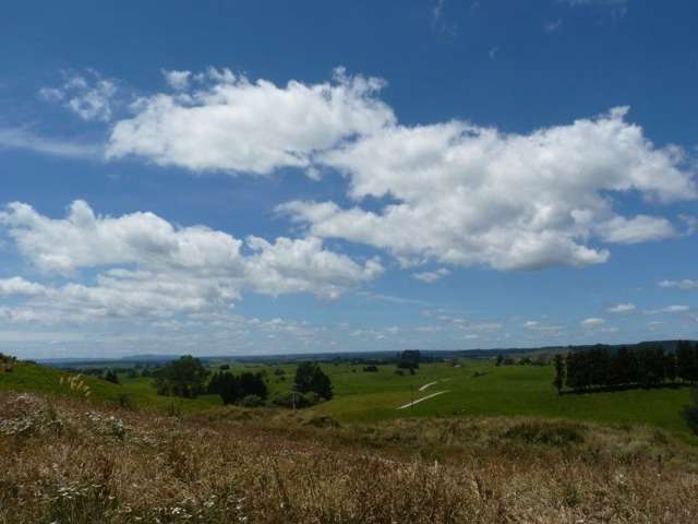 389d Paraonui Road Putaruru_3