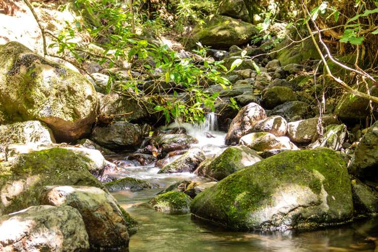 99 Jubilee Road Wainui_15