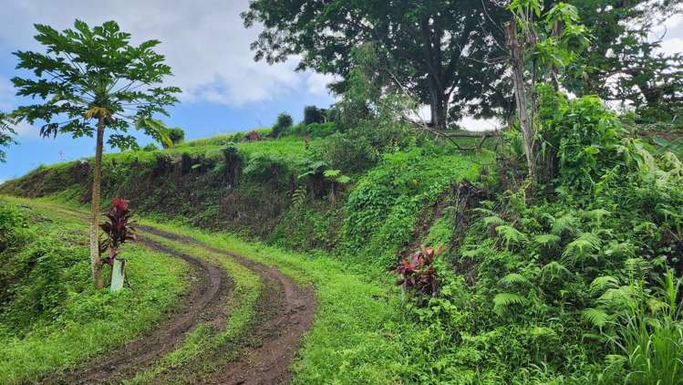 Address withheld Taveuni_12