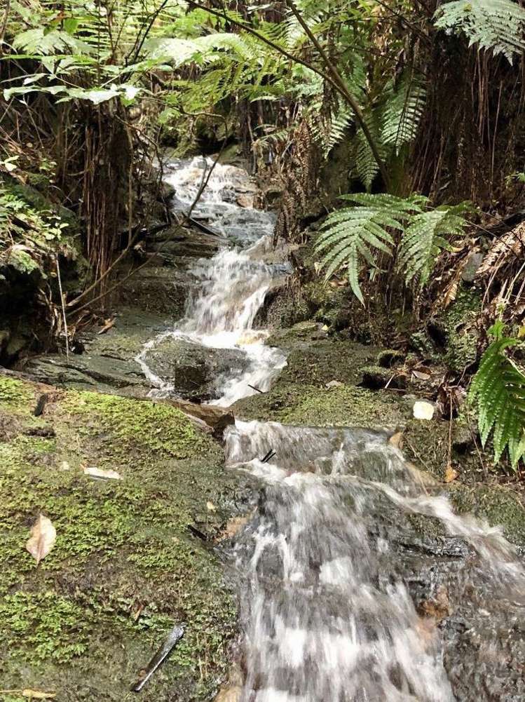 236 Anatoki Track Road Takaka_15