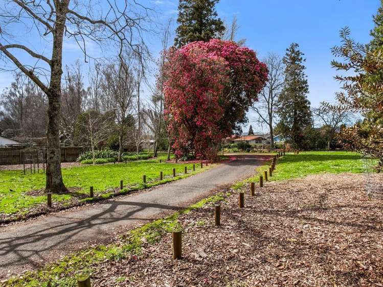 16 Fitzgerald Avenue Matamata_14