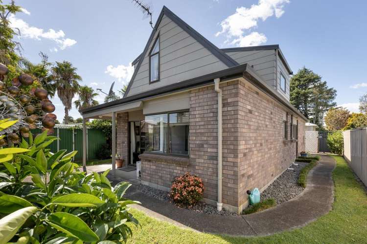 87B Grace Road Tauranga South_17