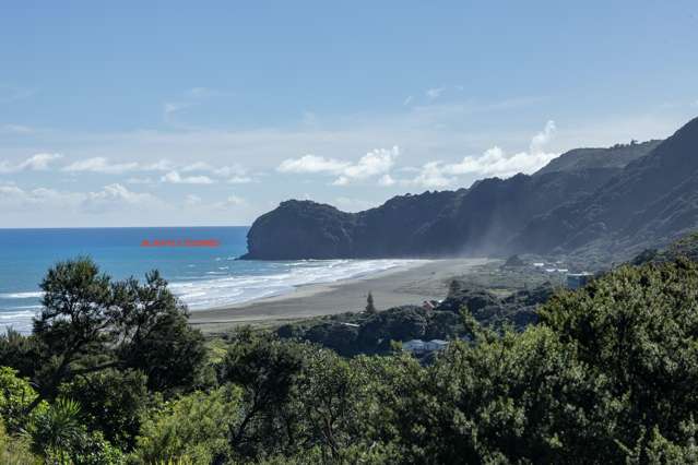 19 Rayner Road Piha_2