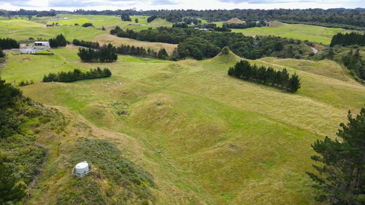 49B Olds Road Ngongotaha Valley_31