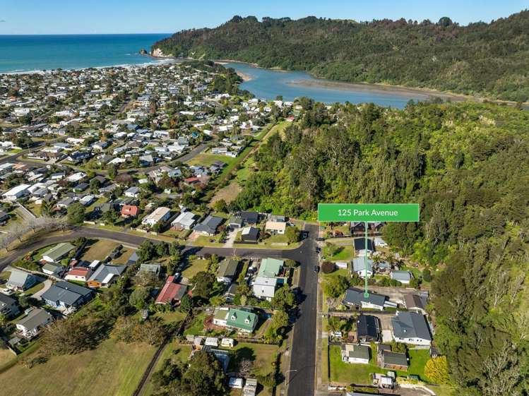 125 Park Avenue Whangamata_27
