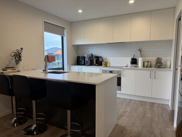 33 Raptor Street Rolleston_4