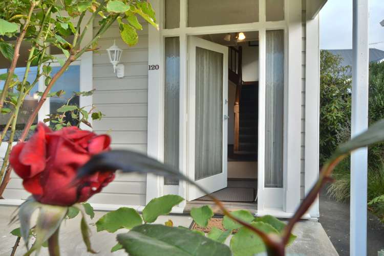 120 Hargest Crescent Saint Clair_4