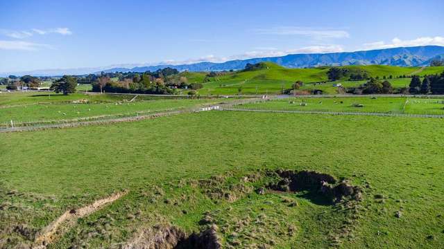 Lt 15 and 16 Matamau/Ormondville Road Dannevirke_2