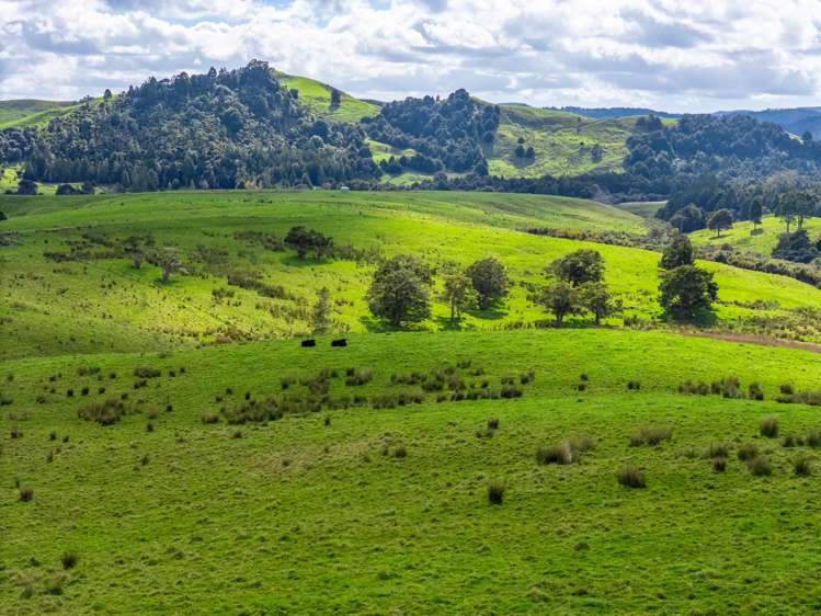 325b Haruru Road Wainui_12