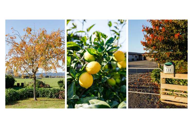 130 Fermah Road Awakeri_32