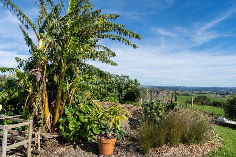 1572 Ruapekapeka Road Kawakawa_26
