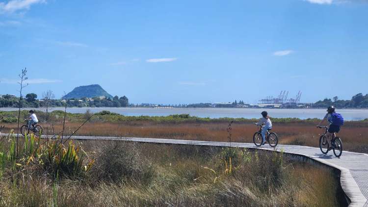 98A Maxwells Road Otumoetai_16