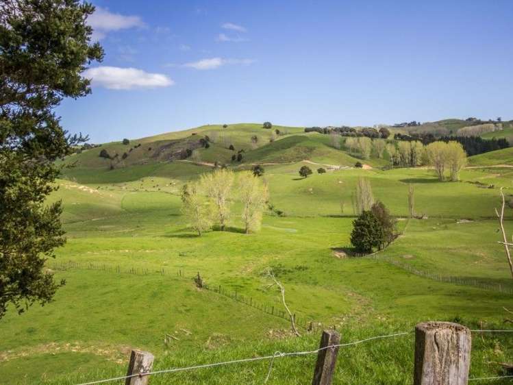 171 Girls High School Road Tangiteroria_9